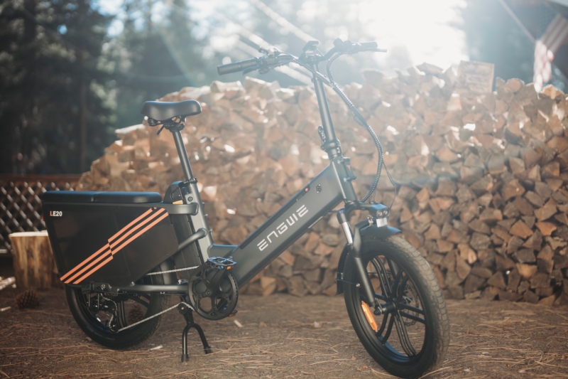 Mega-Range, Affordable Hauler: ENGWE LE20 Electric Cargo Bike Review