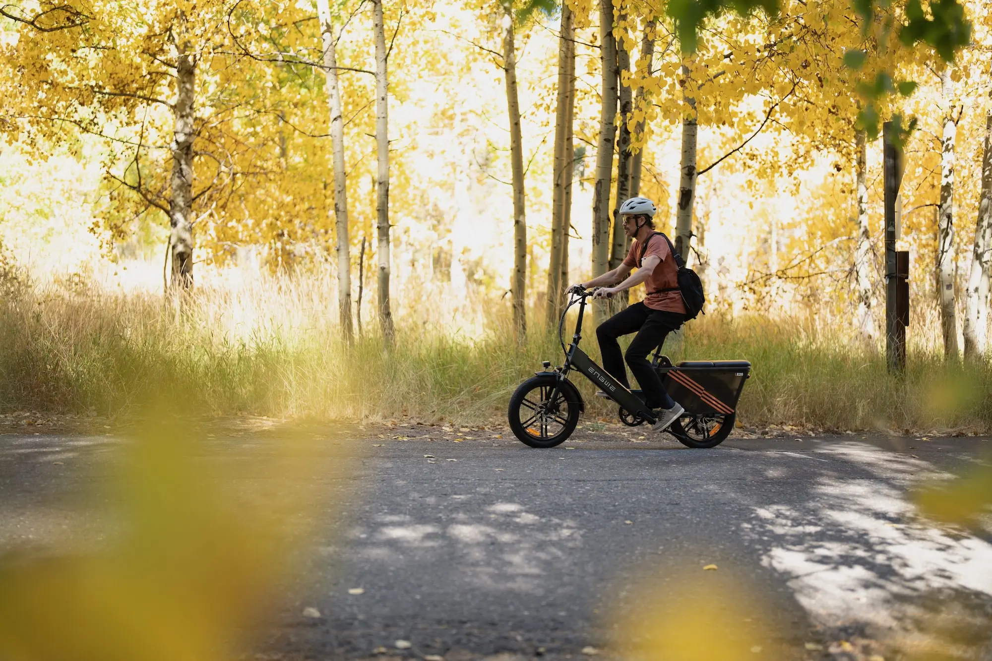 Riding the ENGWE LE20 electric cargo bike on a paved road through and aspen grove