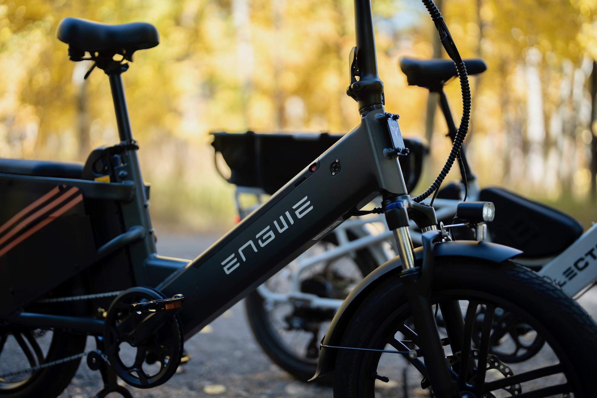 The frame of the ENGWE LE20 electric cargo bike