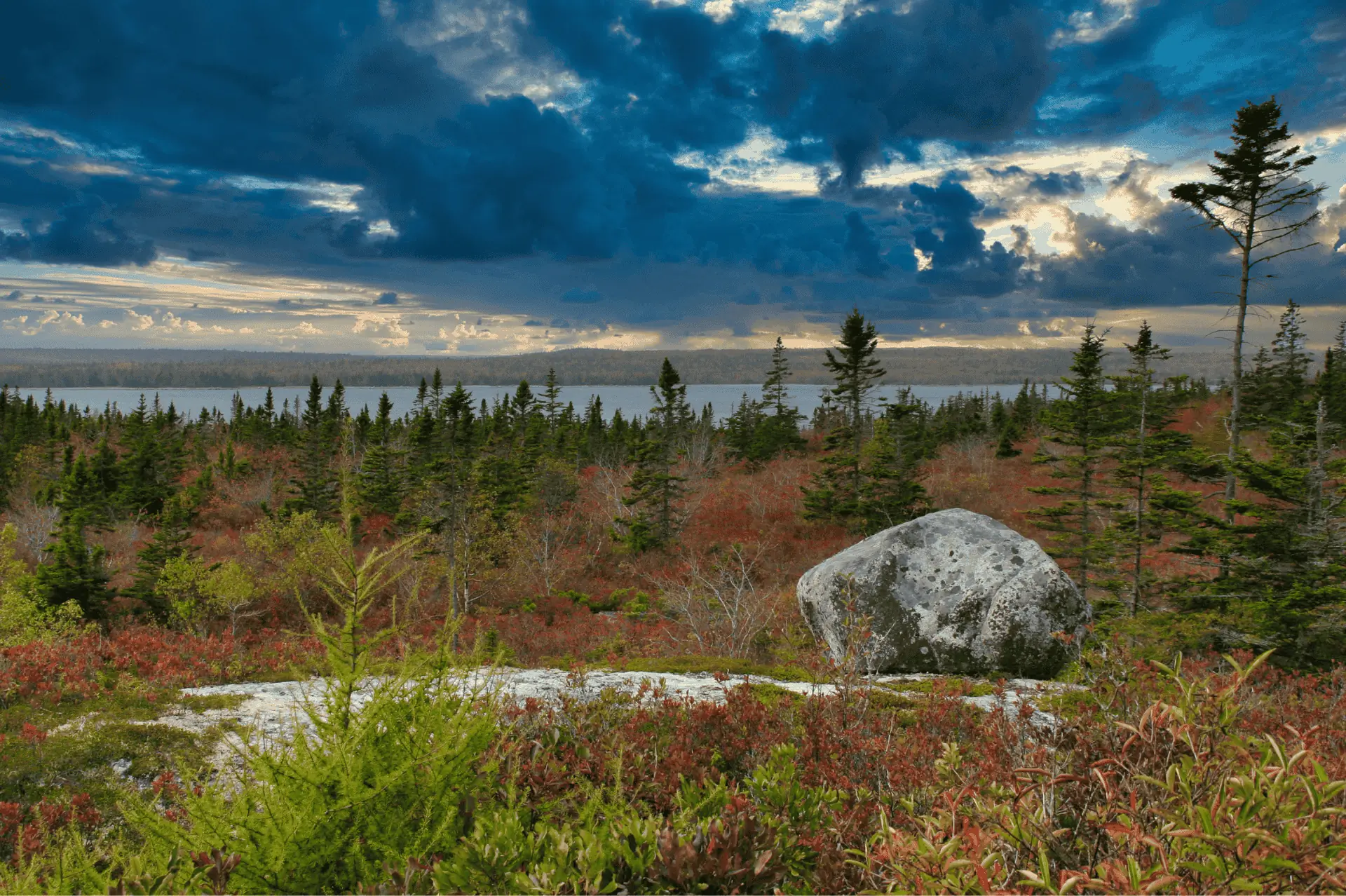 Fall in Kejimkujik National Park