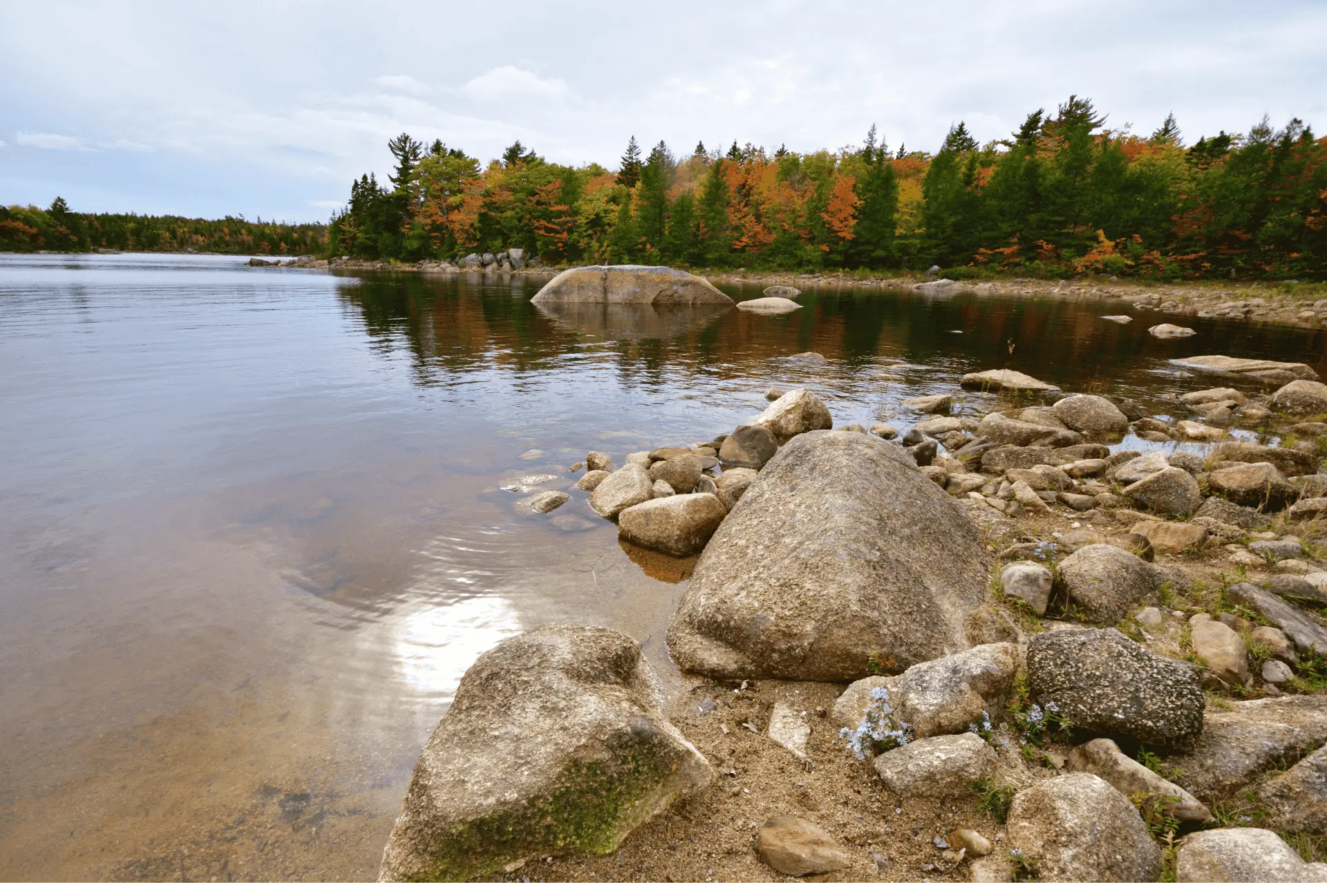 Long Lake Provincial Park in the fall