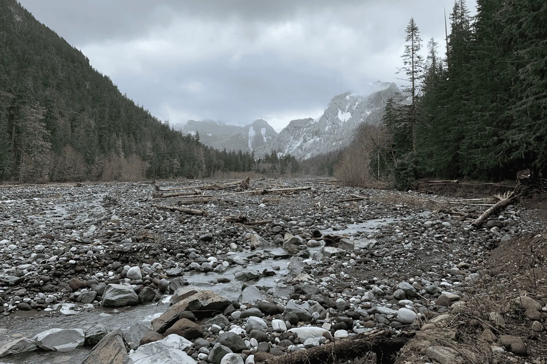Carbon River in Mount Rainier National Park