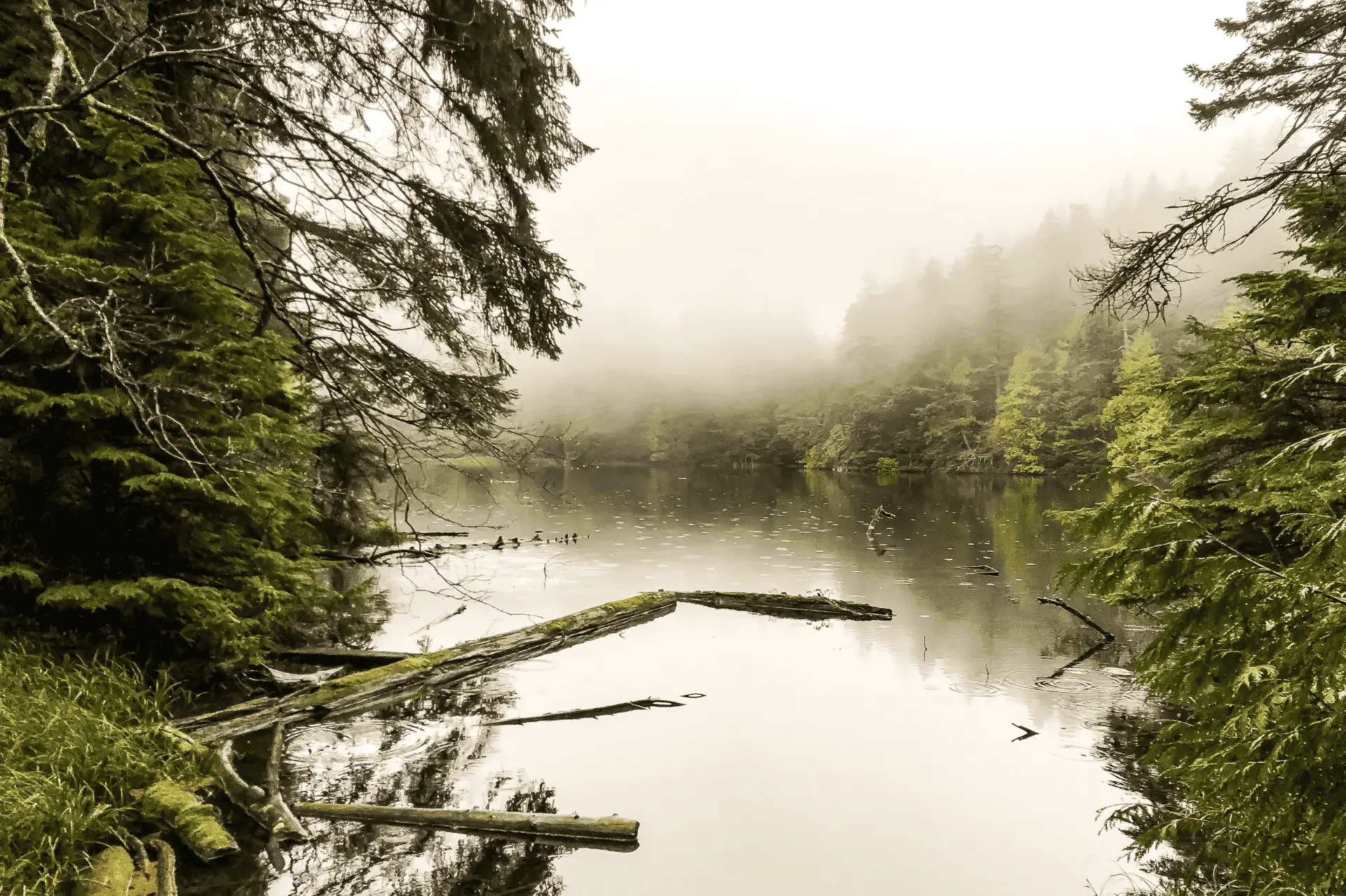 Winter in Moran State Park
