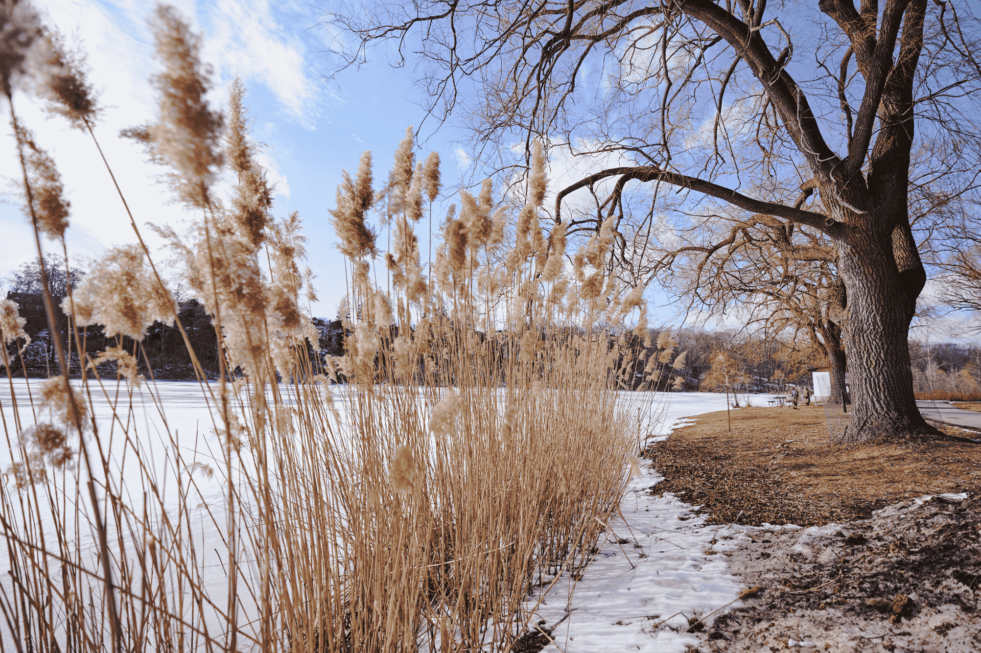 High Park in Toronto