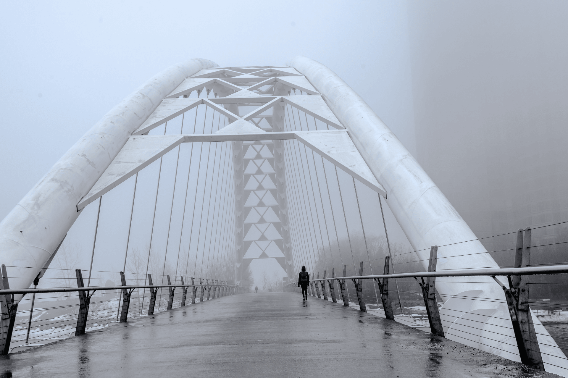 Humber Bay Arch Bridge