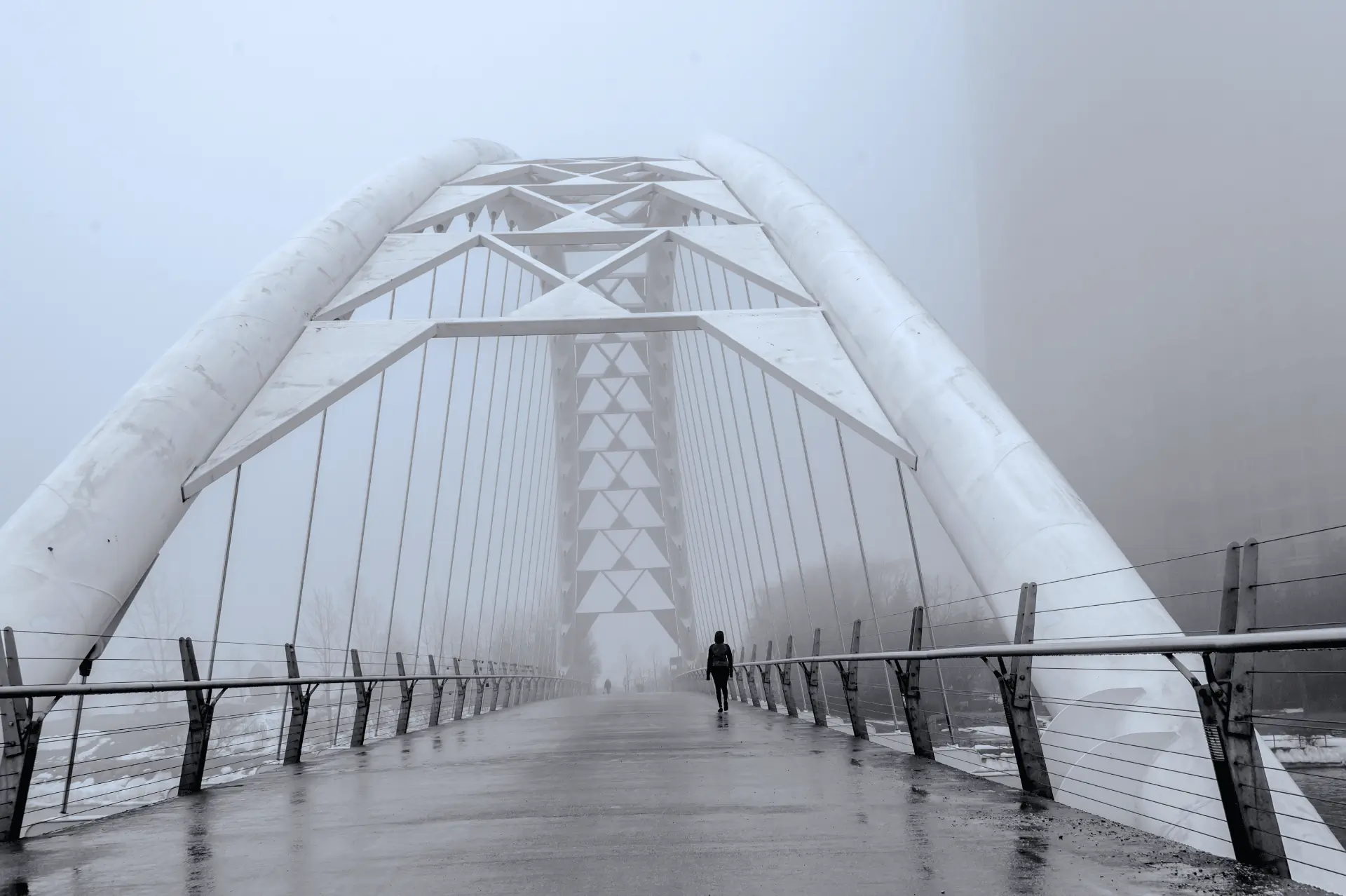 Humber Bay Arch Bridge