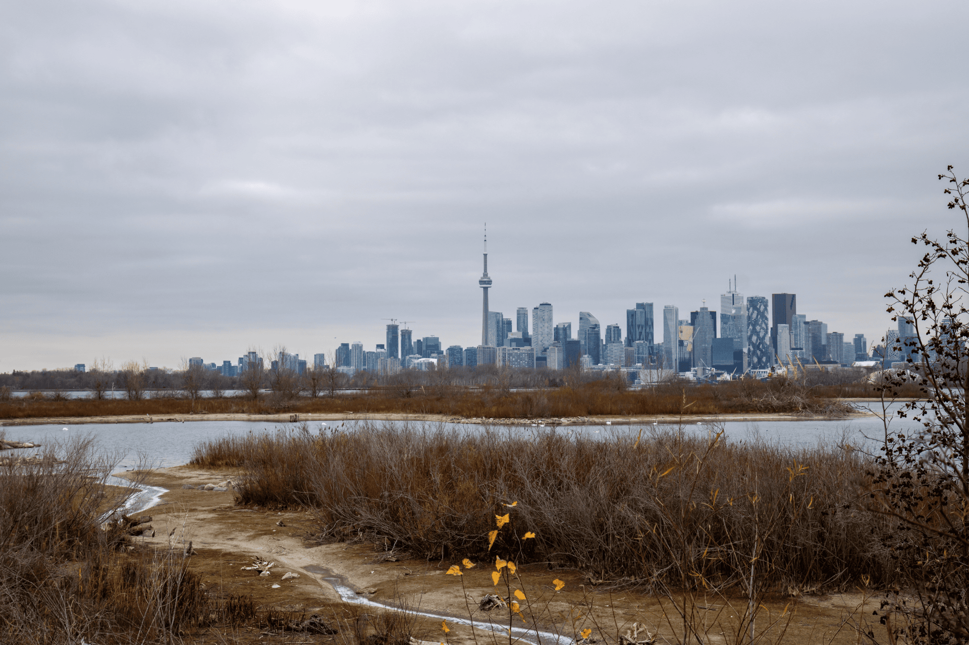 View of the Toronto Skyline from Tommy Thompson Park
