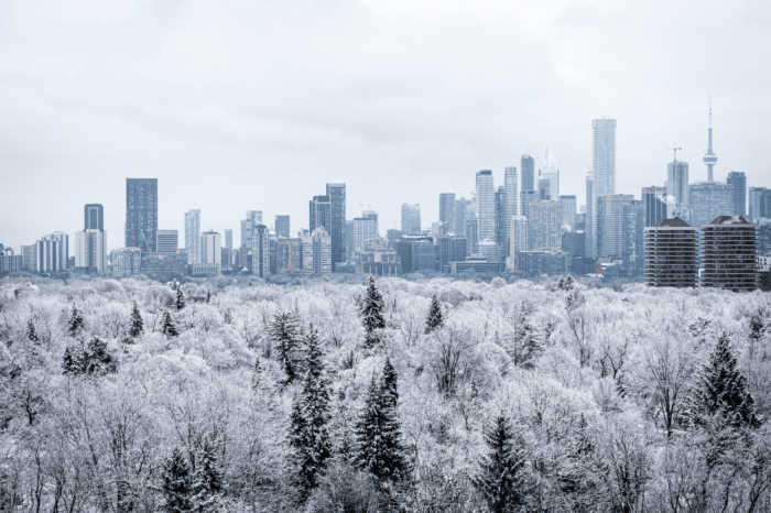 Snowy view of the Toronto Skyline