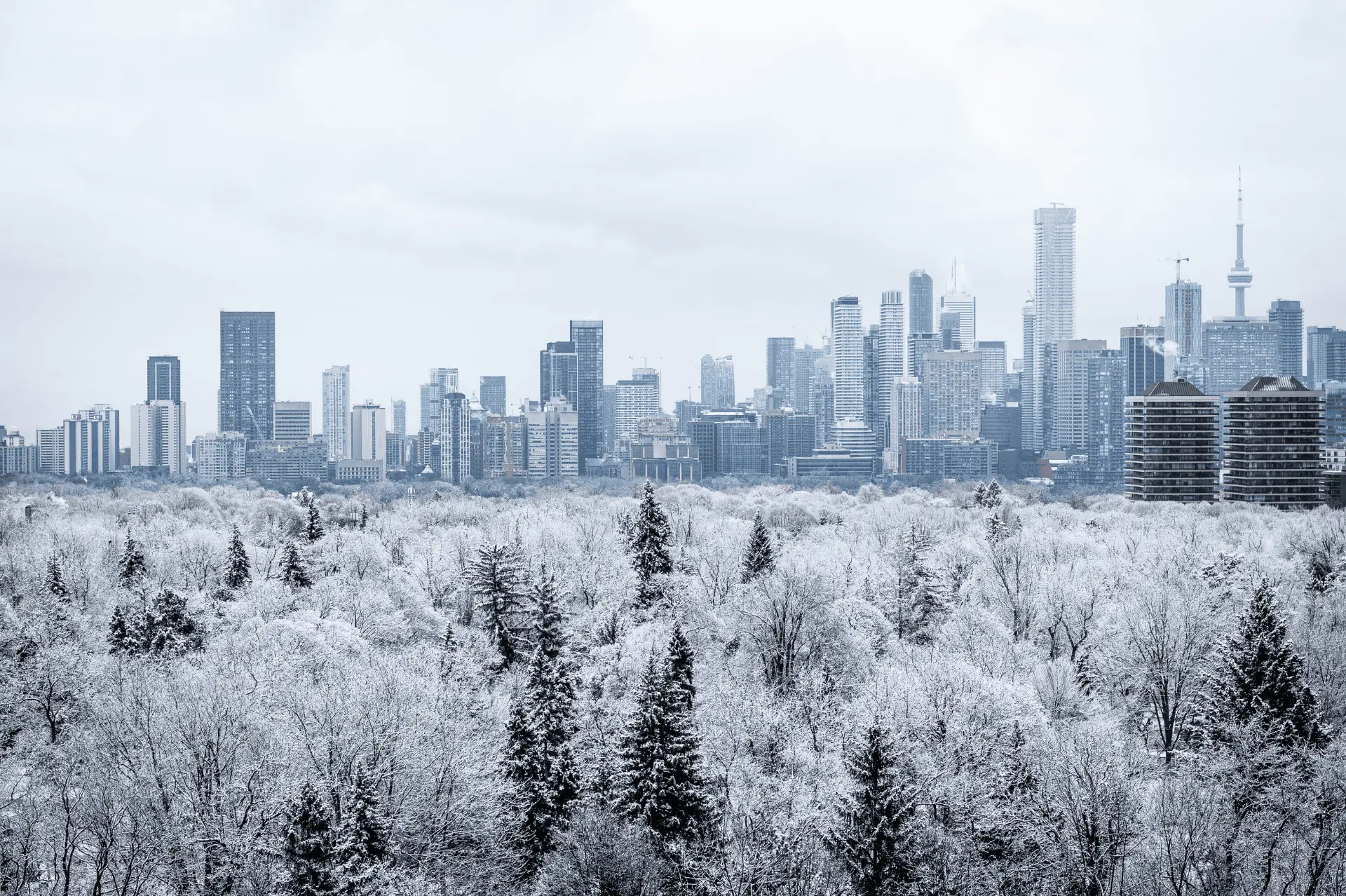 6 Ways to Enjoy Nature in the Heart of Toronto This Winter