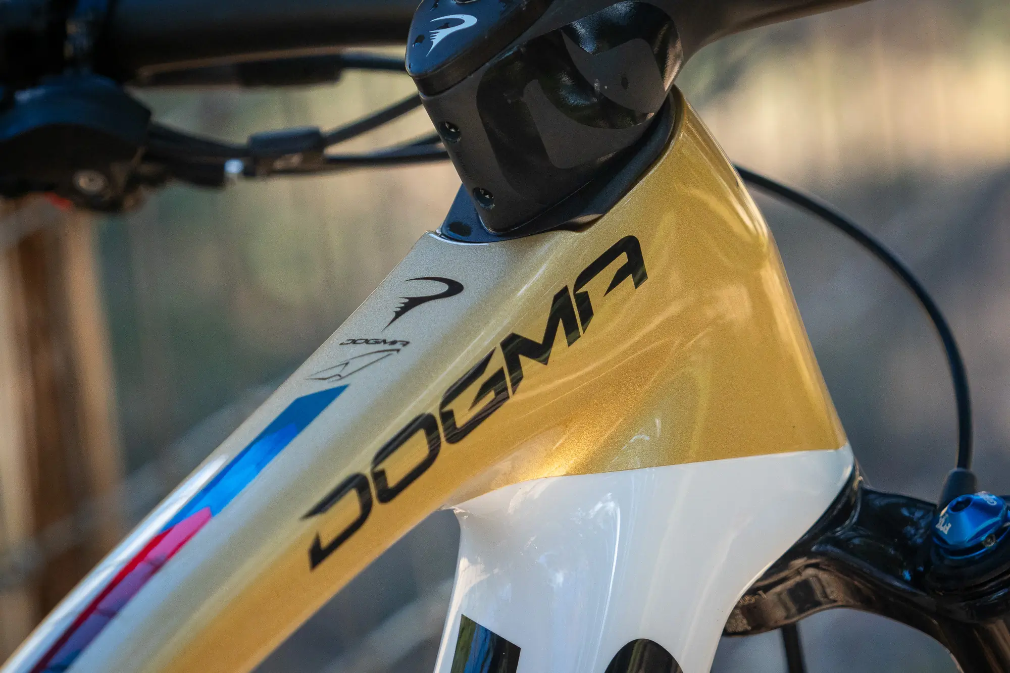 Pinarello Dogma XC frame detail