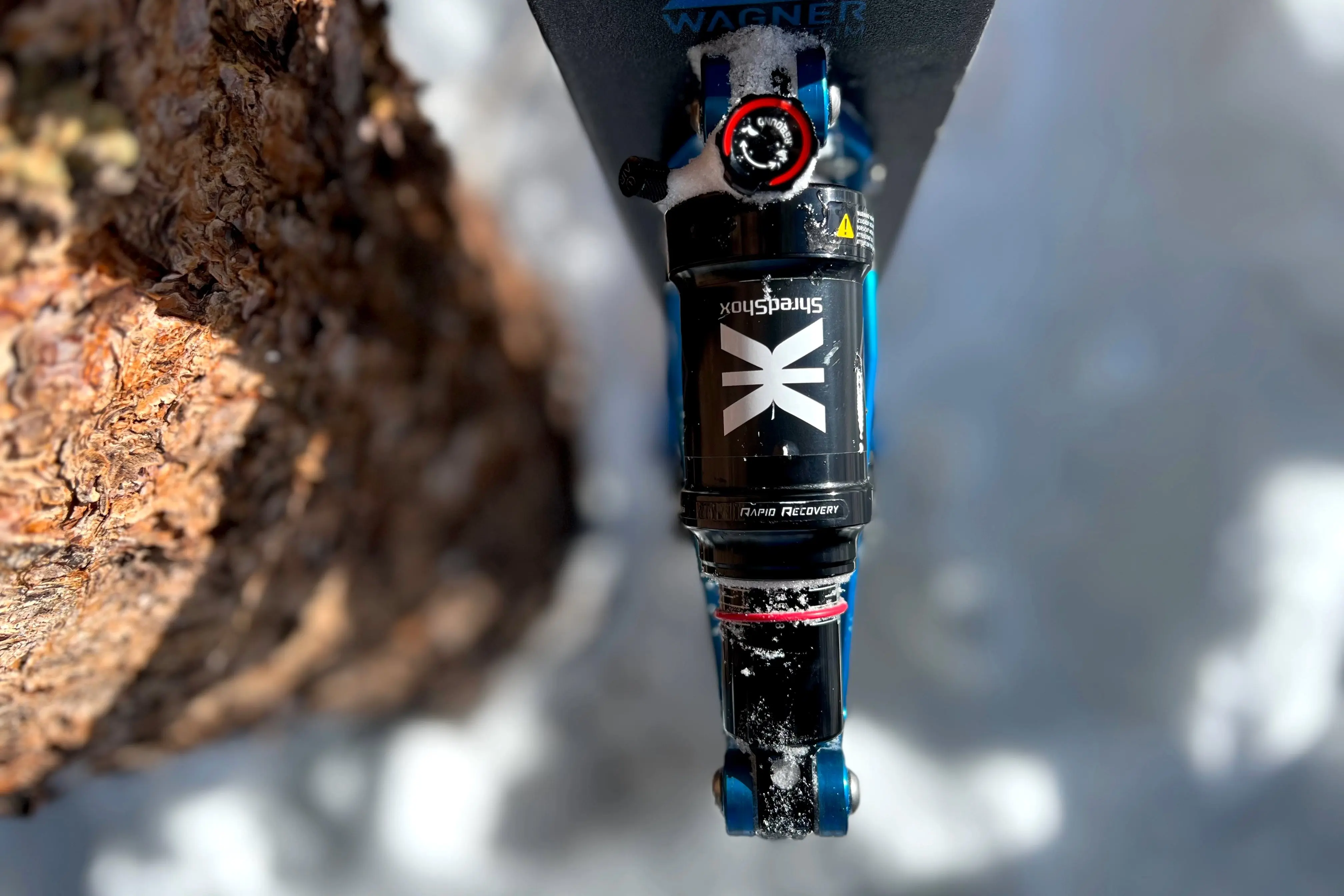 ShredShox full suspension ski platform system