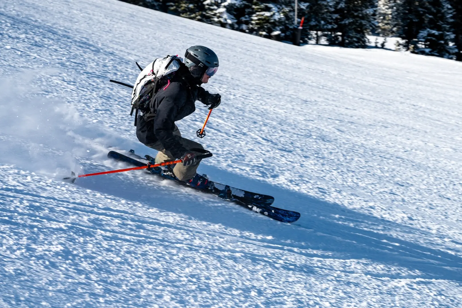 ShredShox full suspension ski platform system