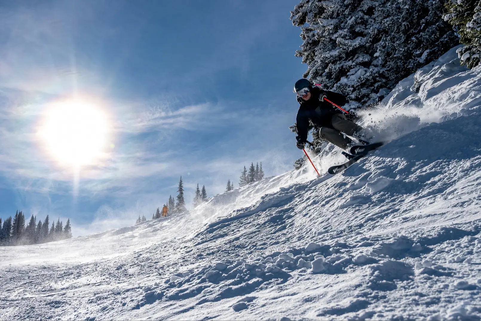 ShredShox full suspension ski platform system