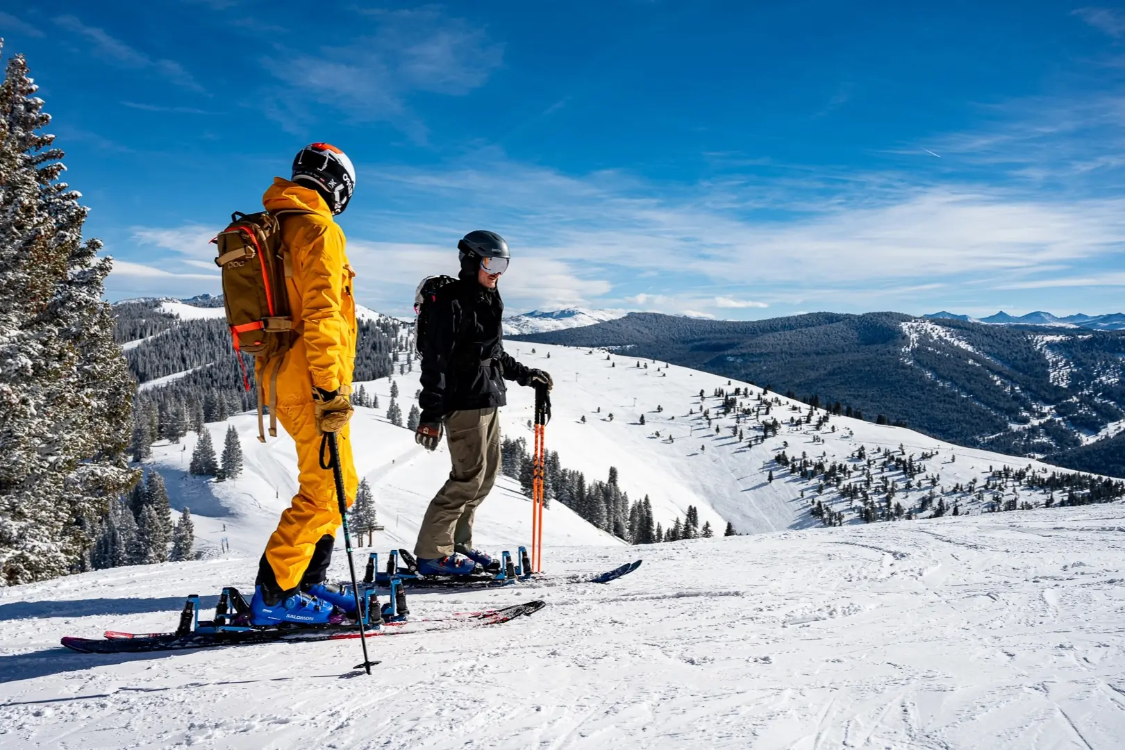 ShredShox full suspension ski platform system