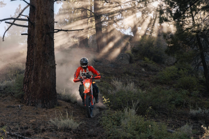 Motorcyclist riding through a forest wearing bell moto 10 helmet