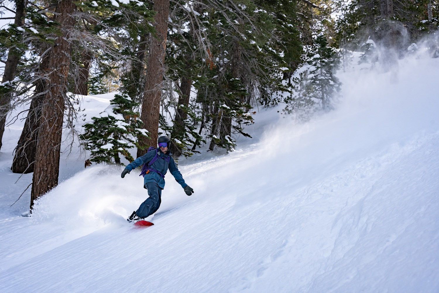A snowboarder carving through fresh powder in a snowy forest