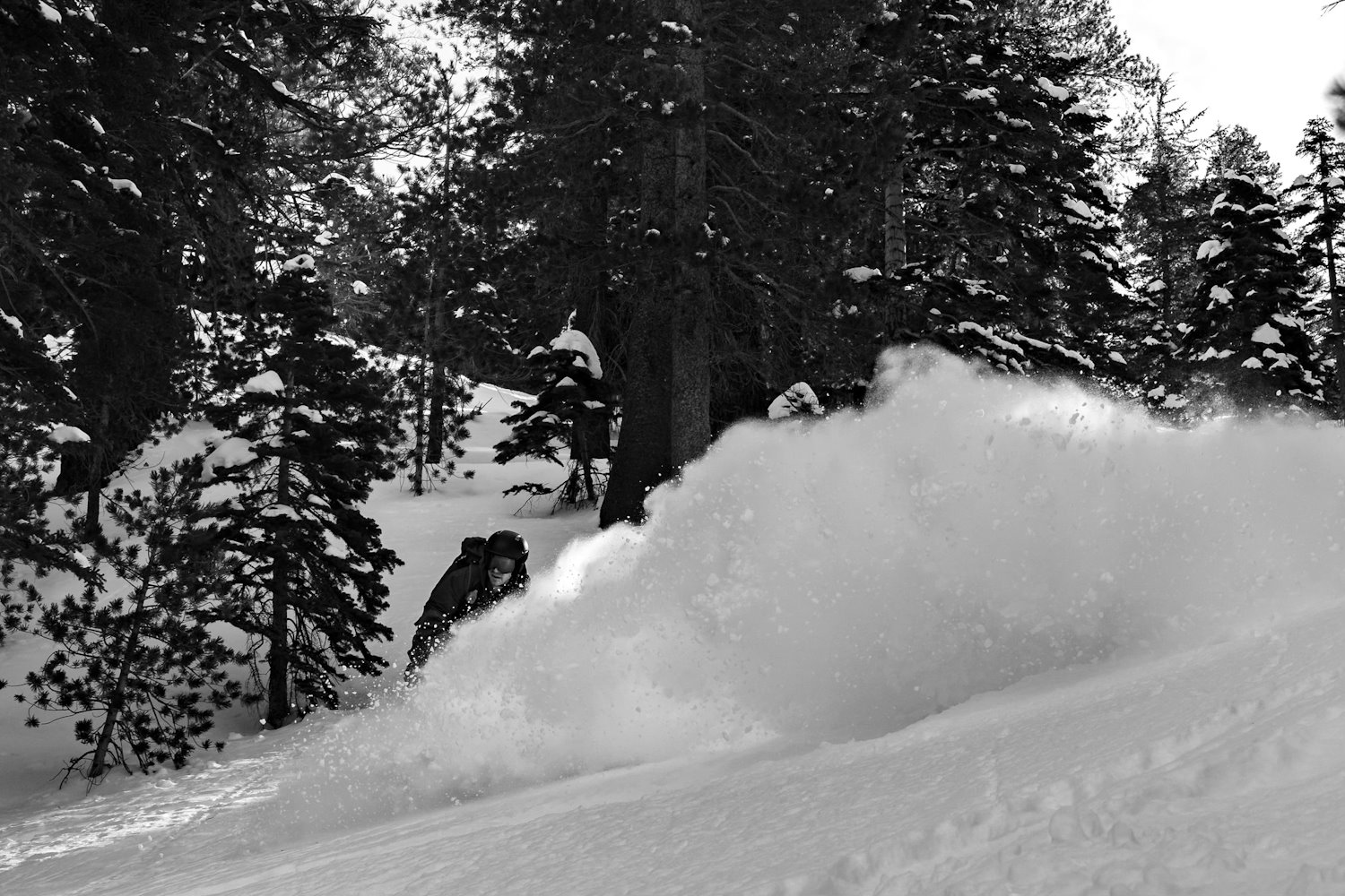 A snowboarder carving through deep powder snow
