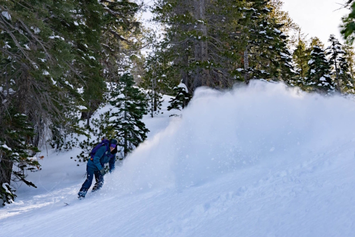 Snowboarder carving through fresh powder in a forested mountain area