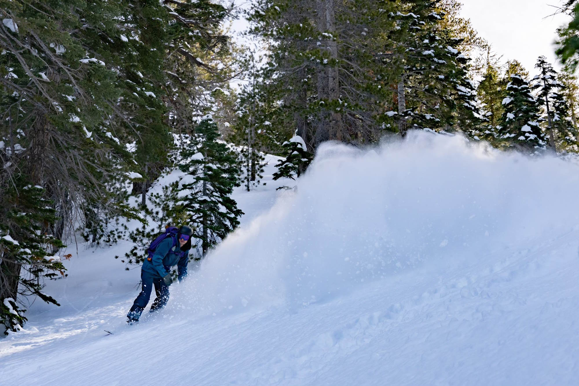 Snowboarder carving through fresh powder in a forested mountain area