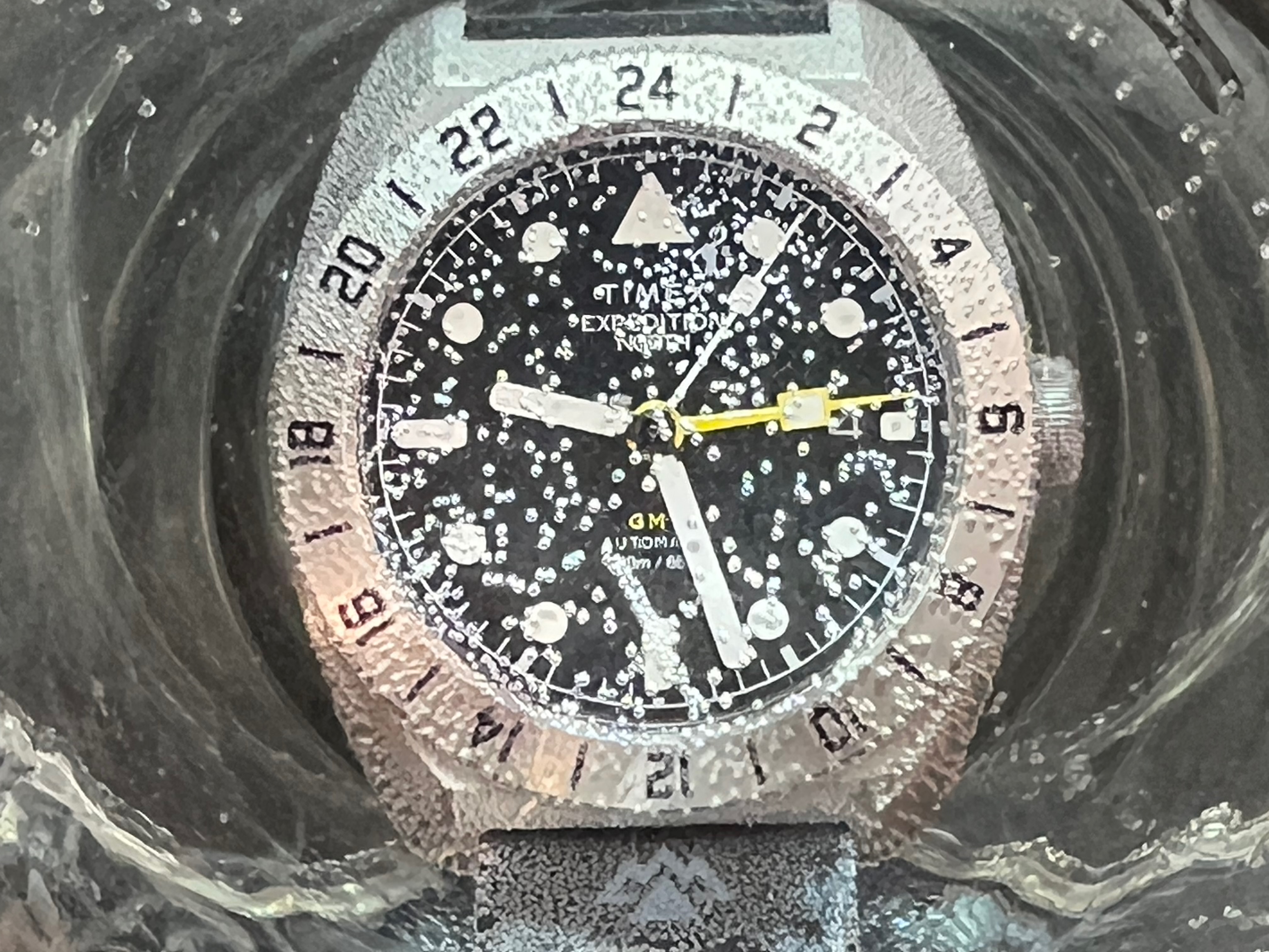 Timex Expedition North GMT Waterproof test