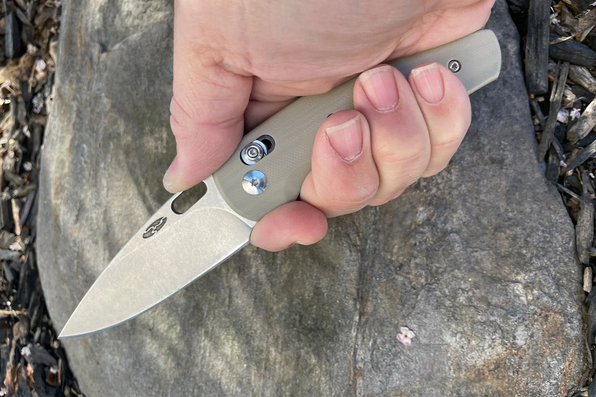 trm bulldog in the hand