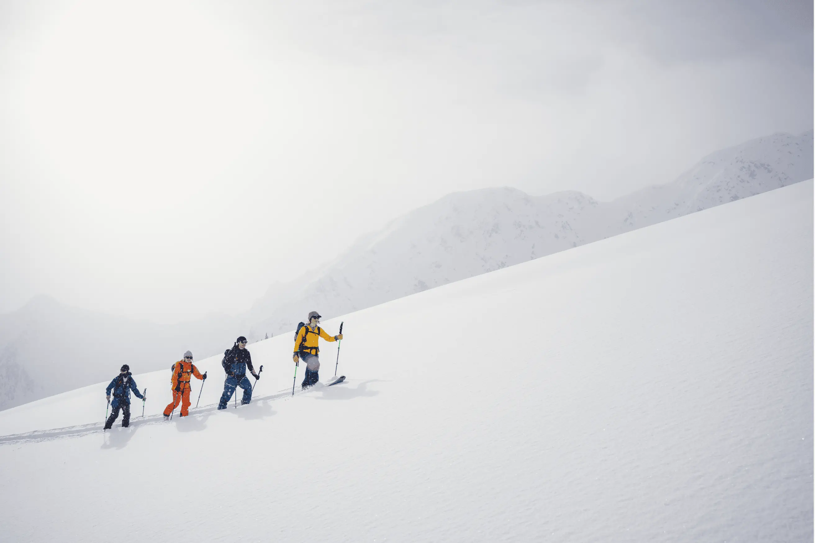 Backcountry Winter Semi-Annual Sale