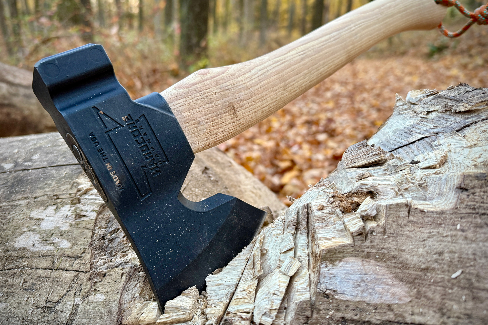 The Hardcore Hammers Camp Companion Axe embedded in a split log, surrounded by a forest floor covered in autumn leaves