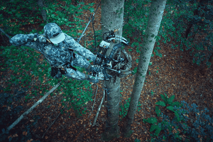 Bow hunting in a treestand