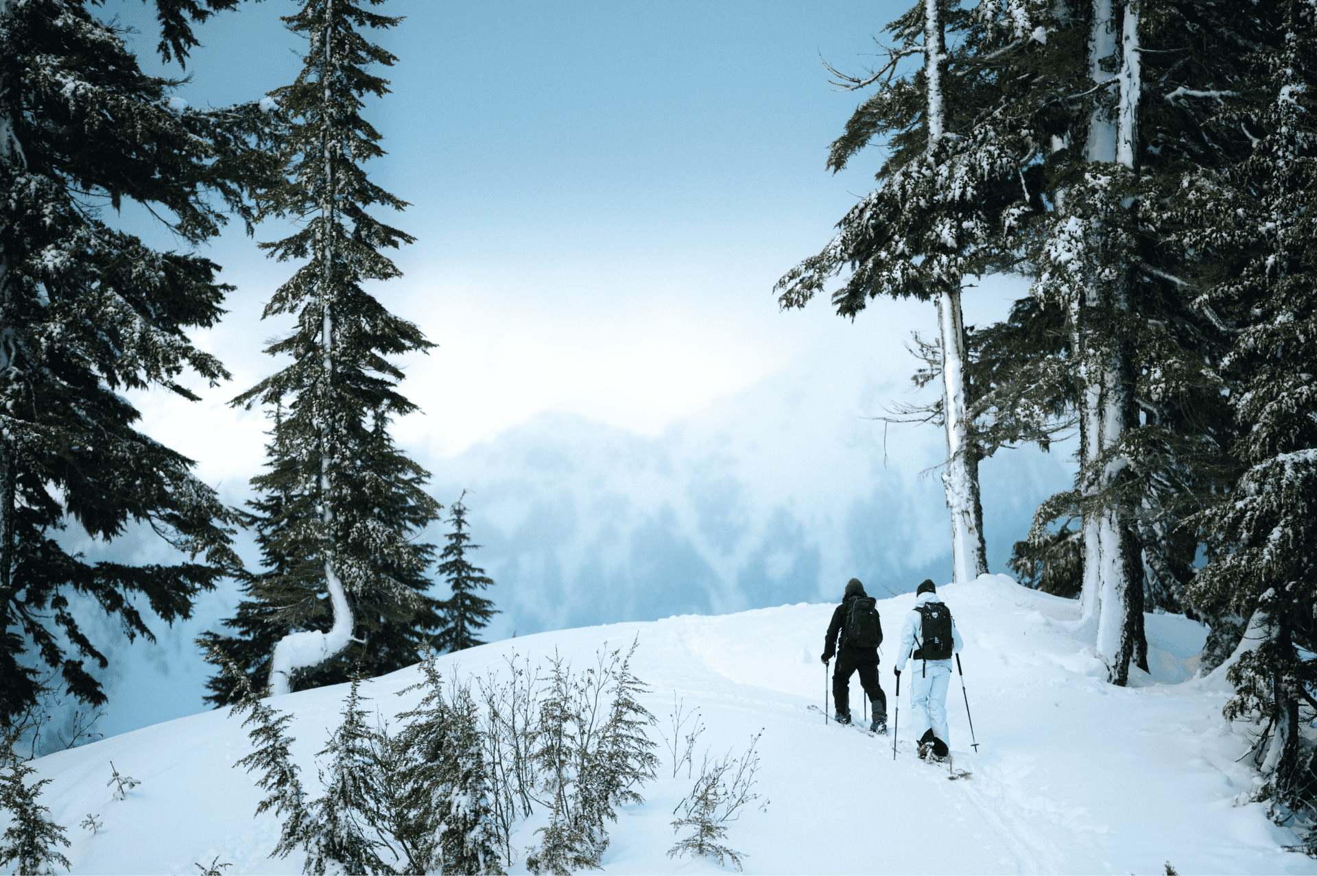 Delilah Cupp backcountry skiing in the Pacific Northwest