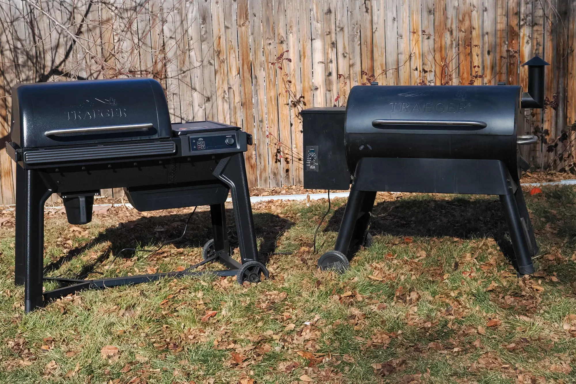 Trager Woodrige and older model