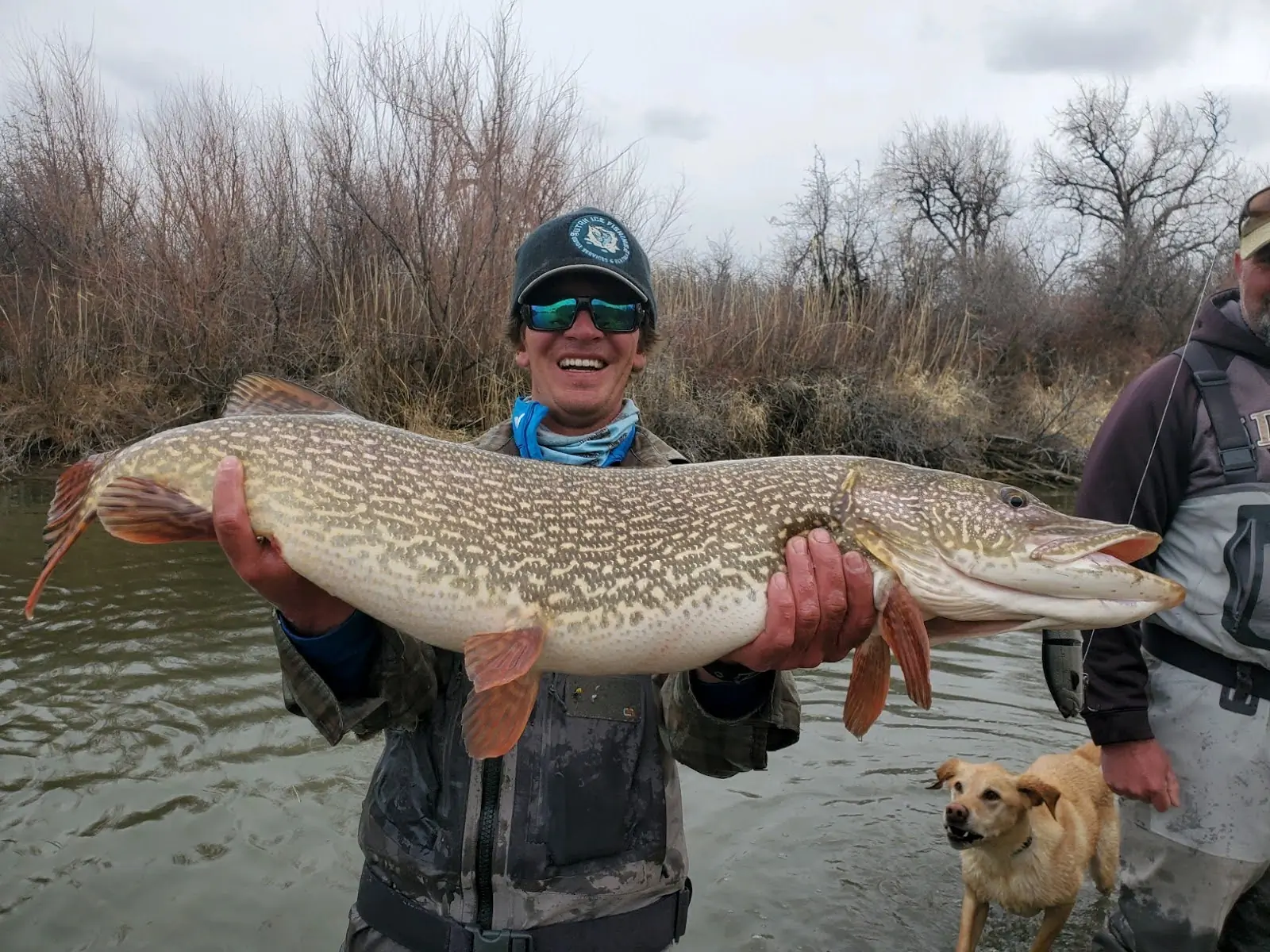 A person holding a massive northern pike with a happy expression, standing in the water with a fishing companion and a dog nearby