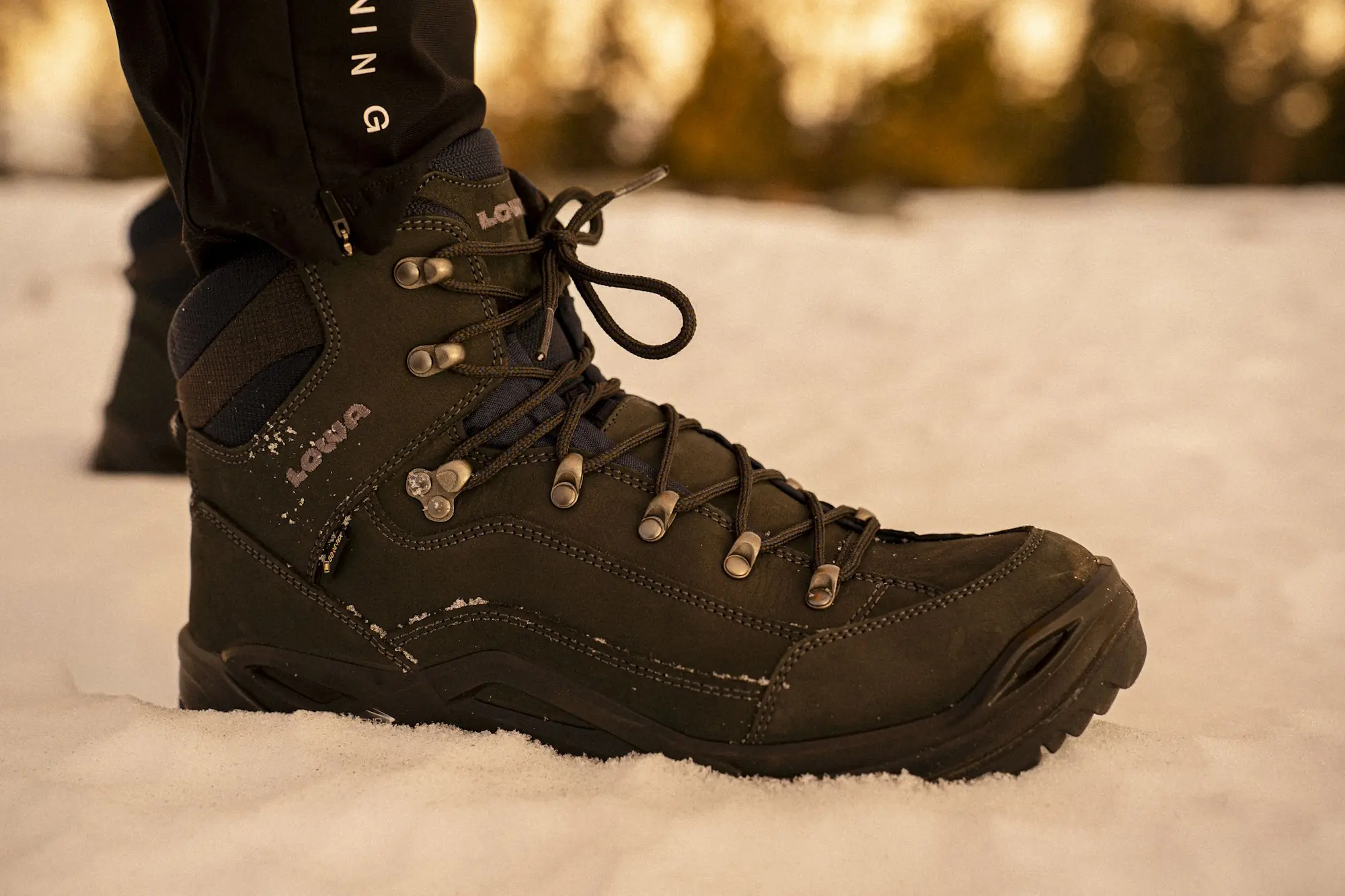 Lowa Renegade Evo GTX closeup shot