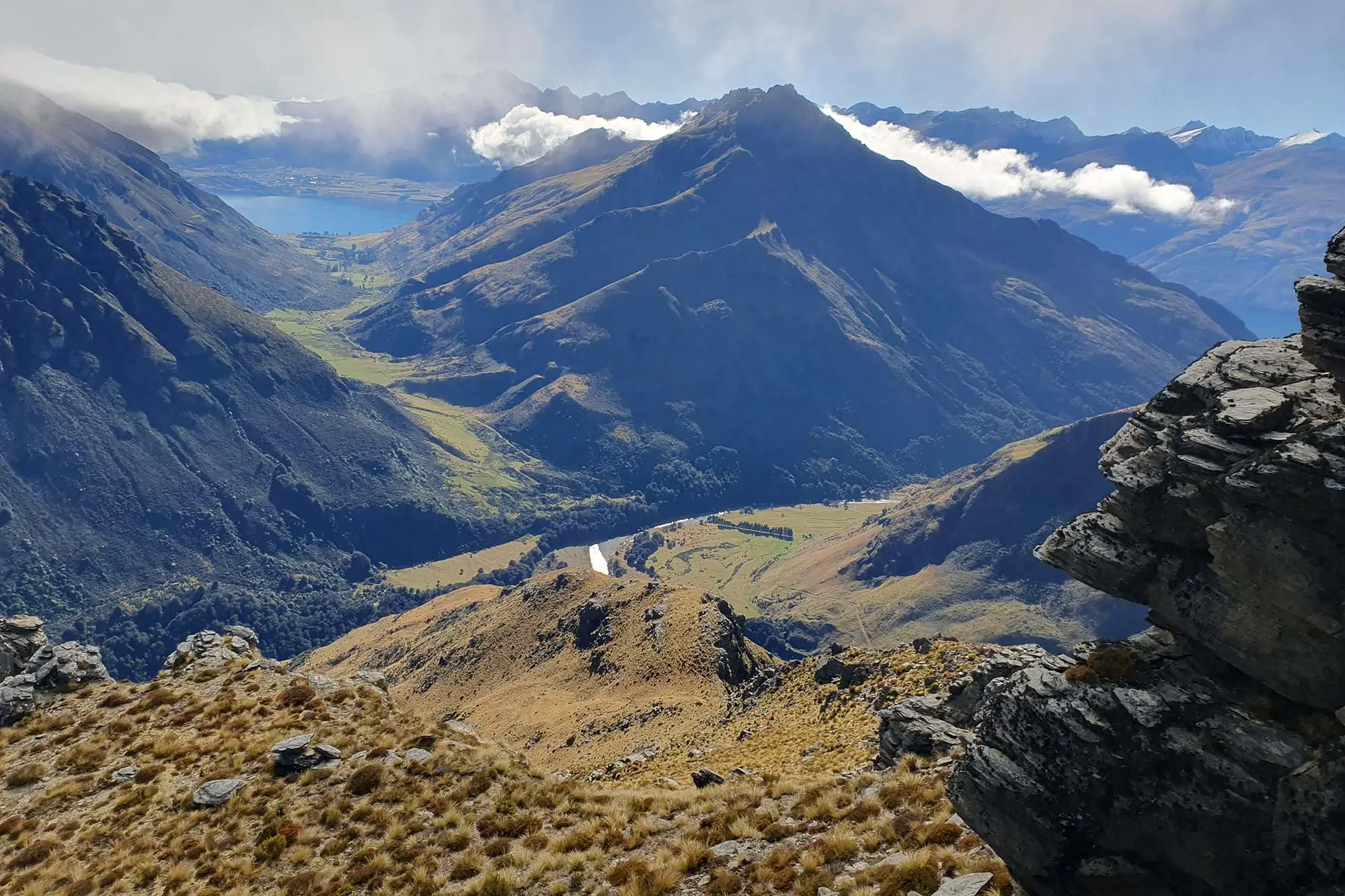 magnificent race new zealand 3