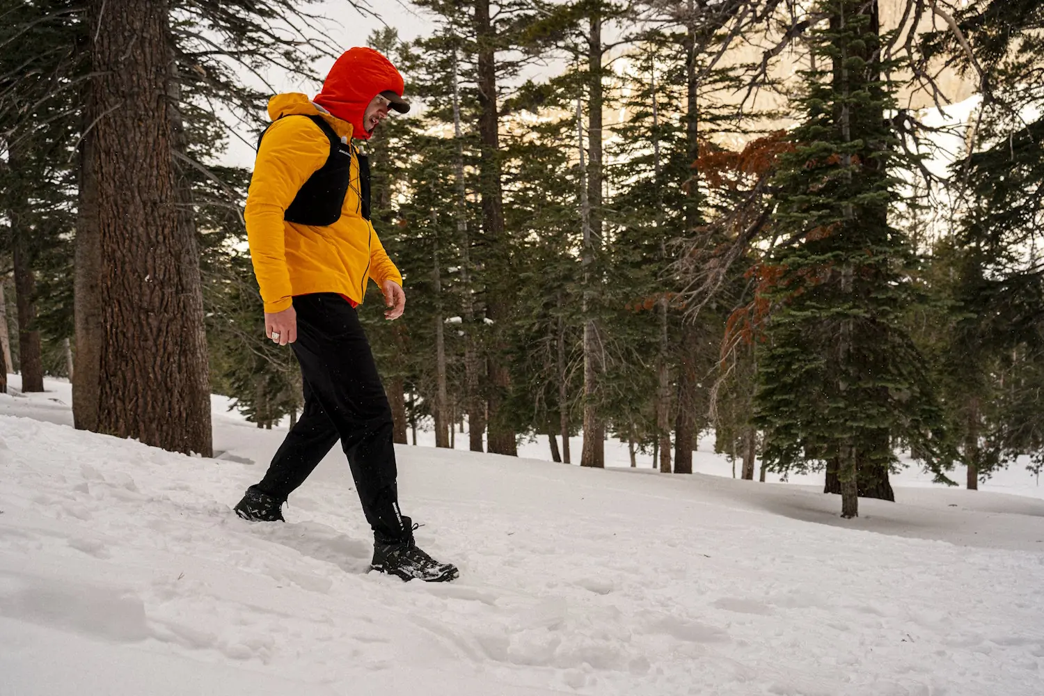 person walking through snow in a forest