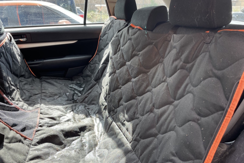 Waterproof for Wet Dogs: Shodu Car Seat Cover for the Back Seat and Door Panels