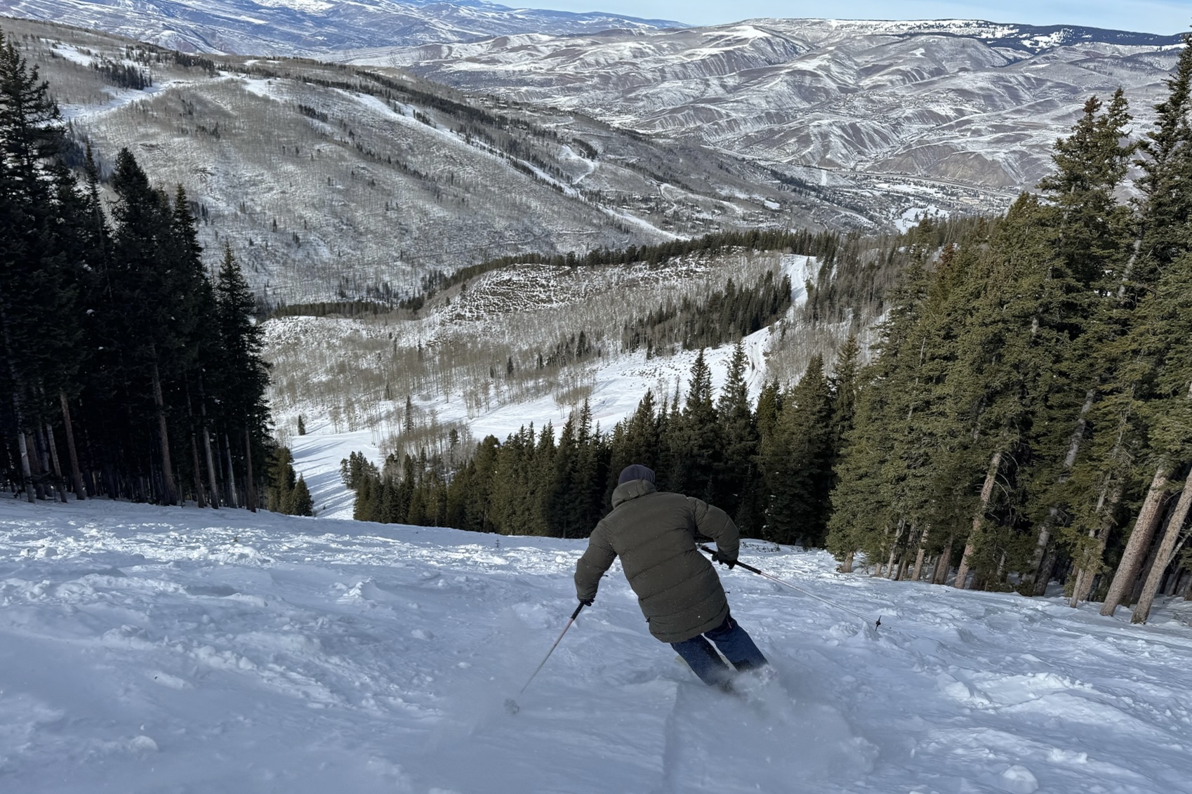 Stellar Equipment Free Down Parka