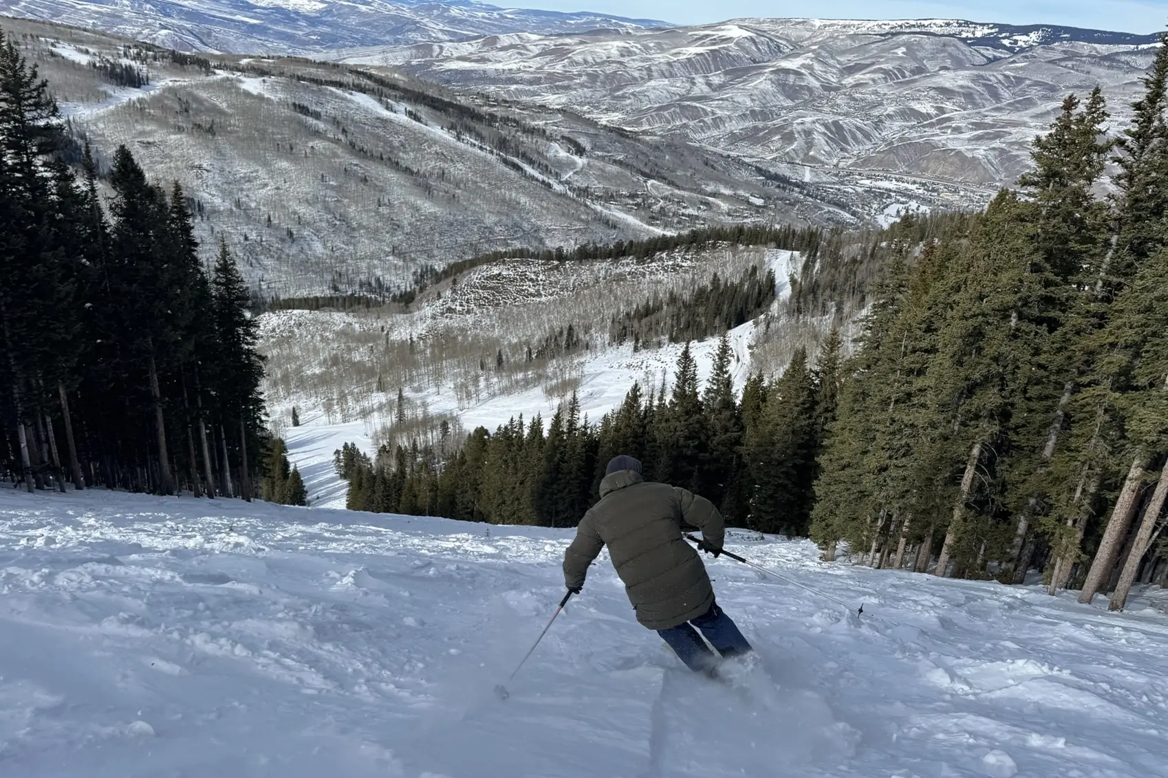 Stellar Equipment Free Down Parka