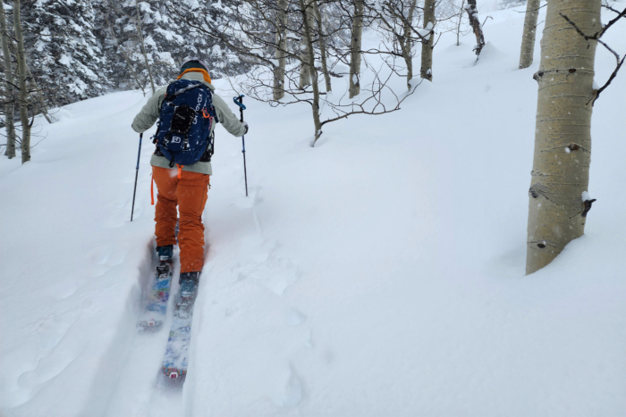A skier making their way uphill through a snow-covered forest of aspen trees