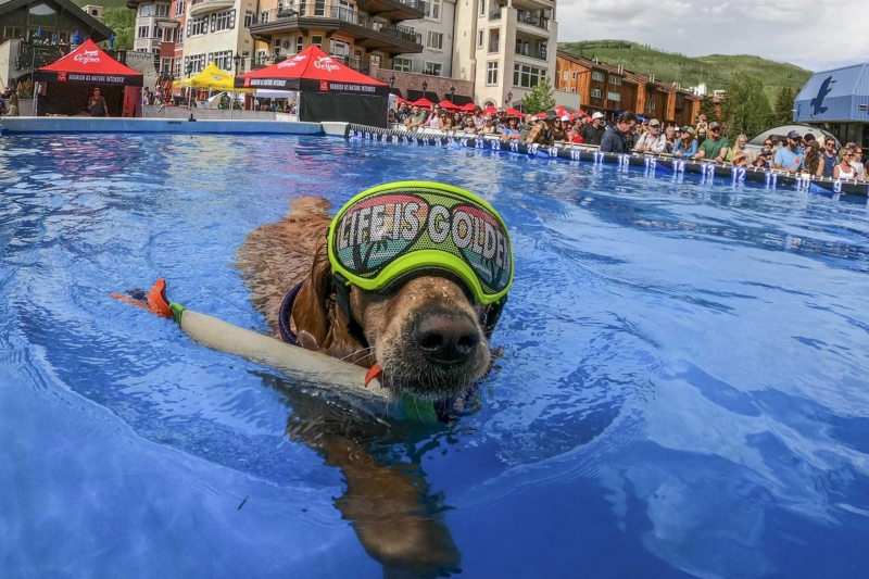 GoPro Goes Bigger: Mountain Games Add Speed Climbing, Ultrarunning for 2025