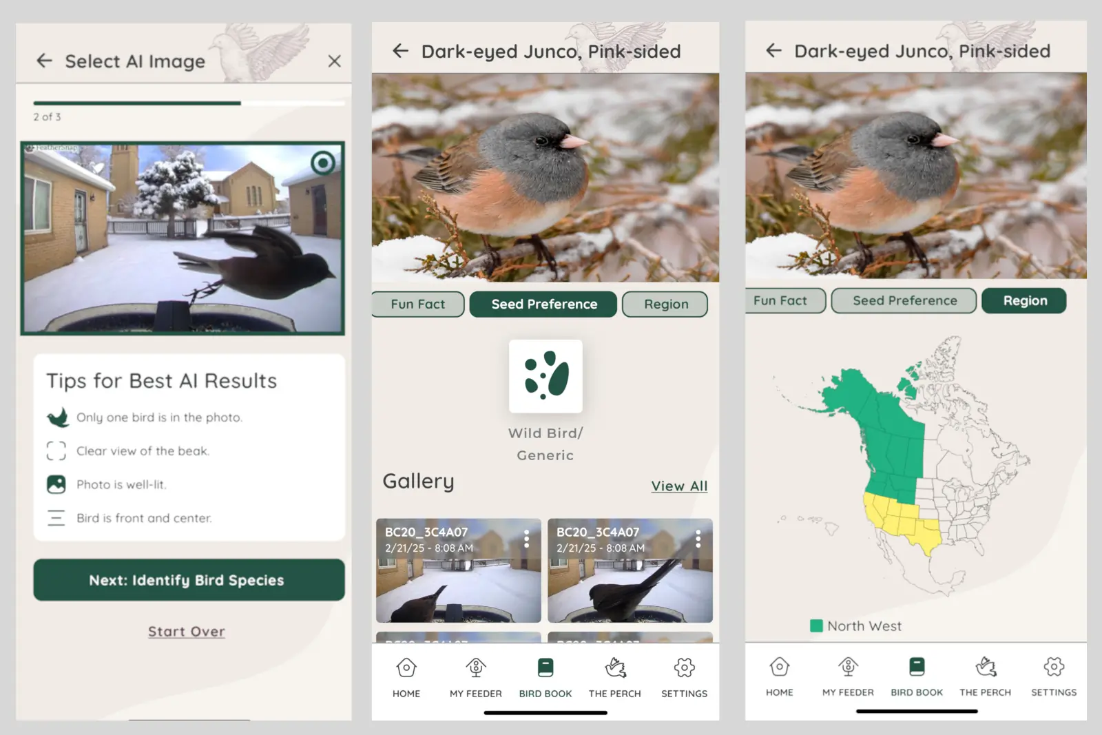 FeatherSnap app with AI identify feed and map