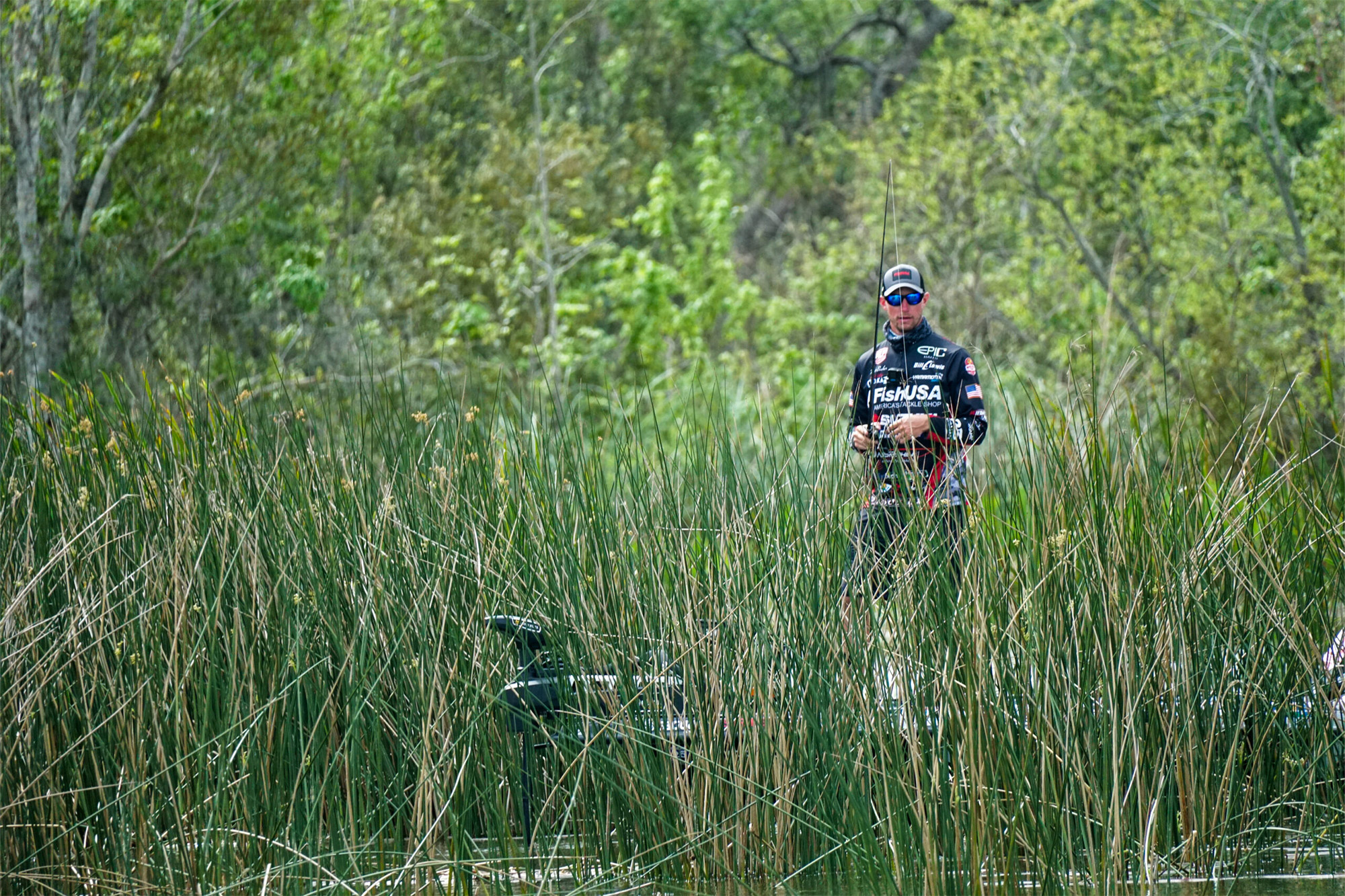 An angler fishes among tall reeds, blending into the lush green surroundings