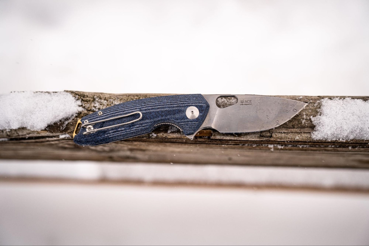 GiantMouse ACE Tribeca resting on a snowy wooden railing