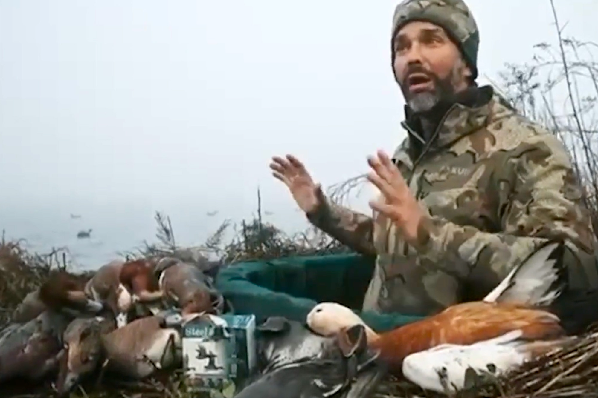donald trump jr. duck hunt allegations