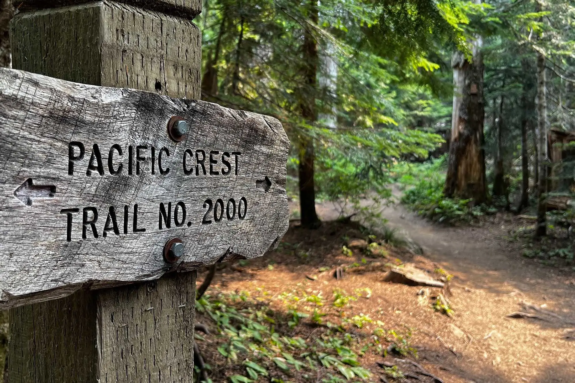 $10,000? Cost of Hiking Pacific Crest Trail Skyrockets