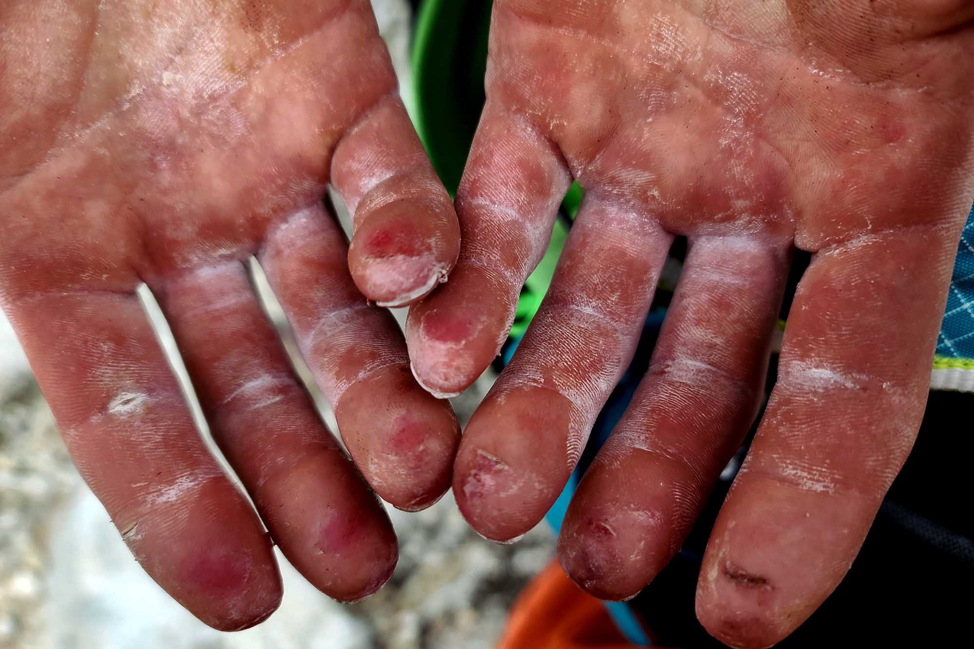 sebastien berthe dawn wall