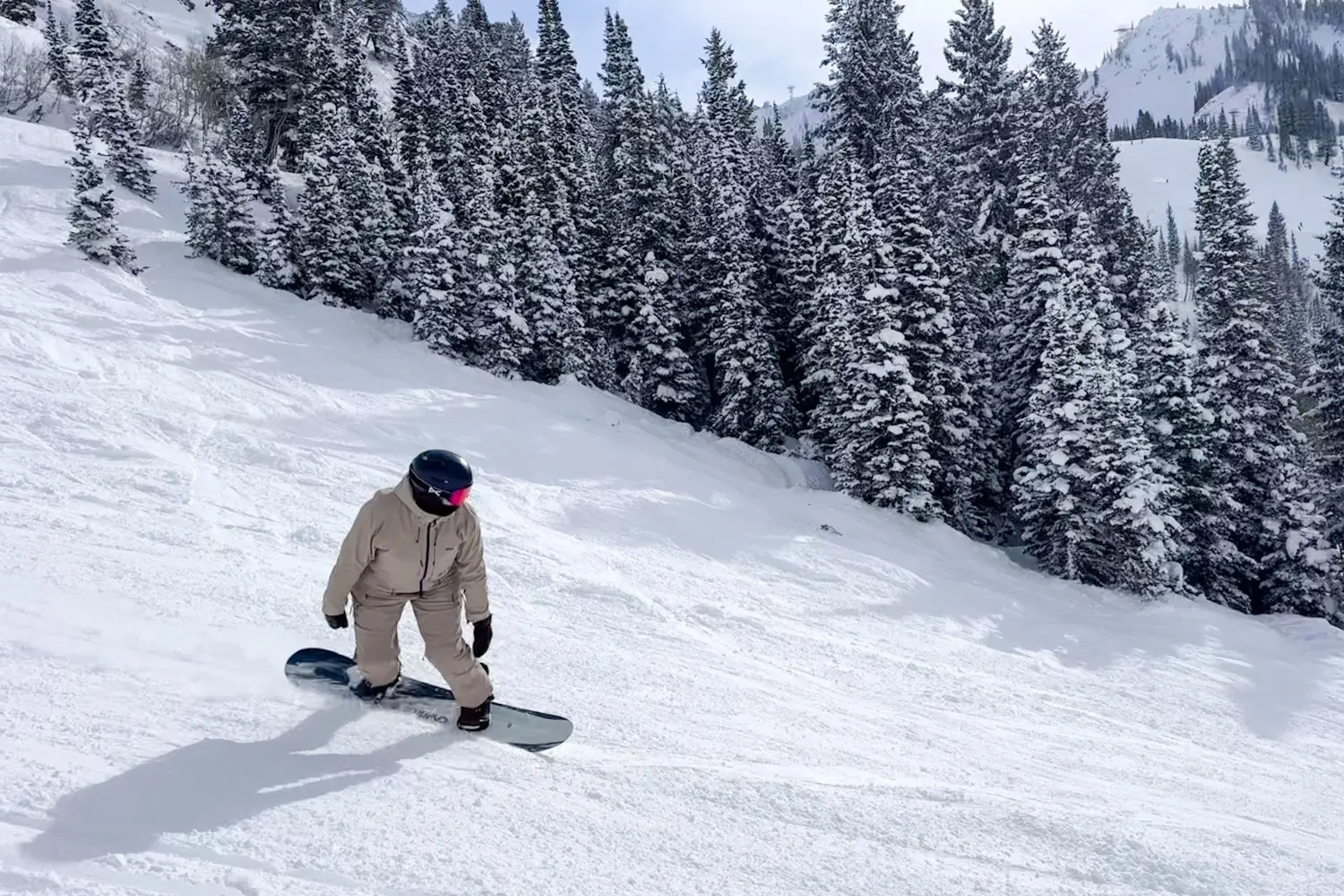 Women in chariot primo bib skiing in mountains