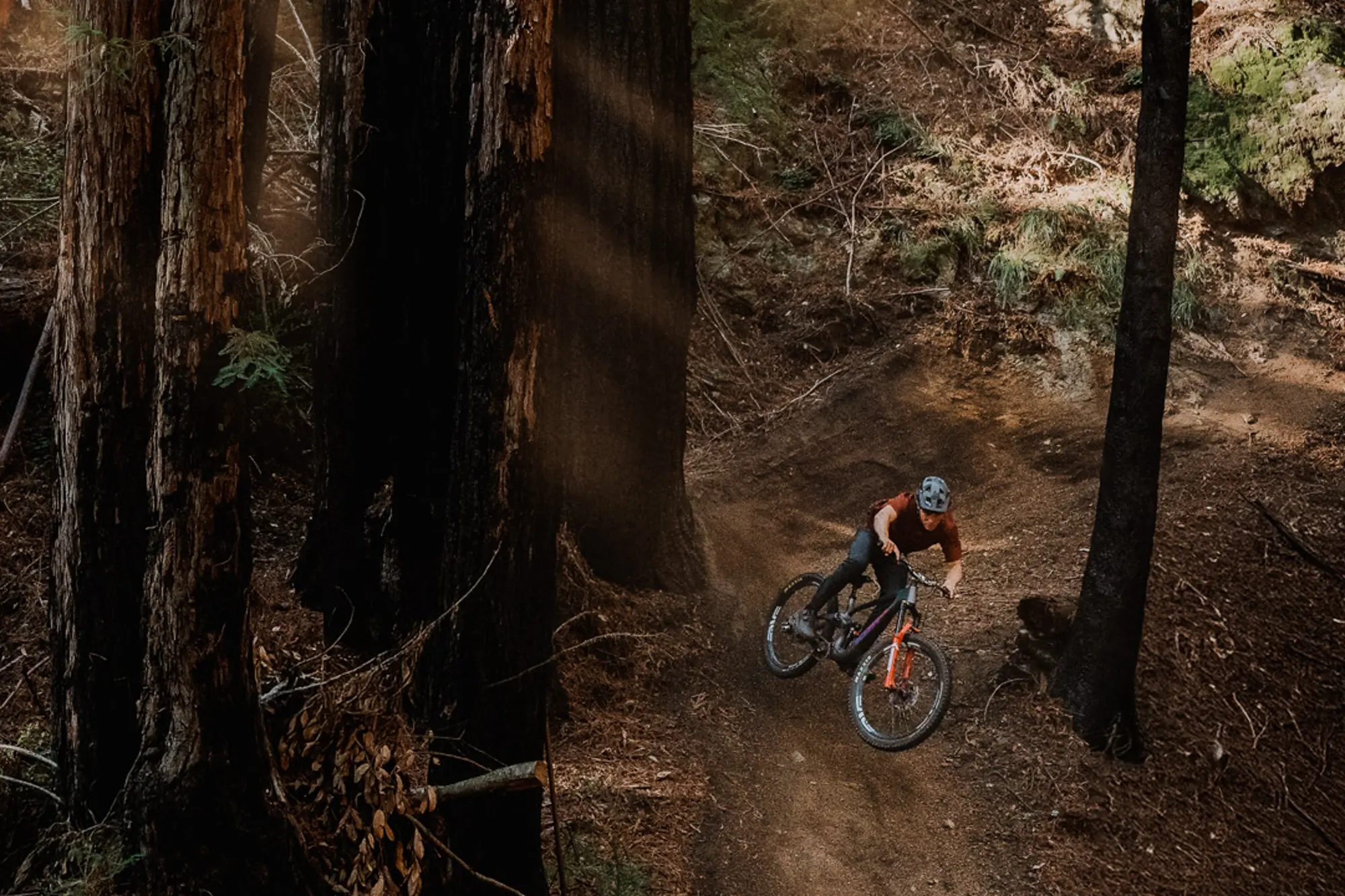 Mountain biker on a wooded trail