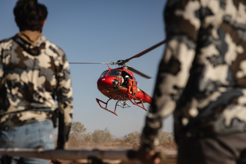 Real Conservation, No Gimmicks: The Gritty Work of Saving Desert Bighorn Sheep