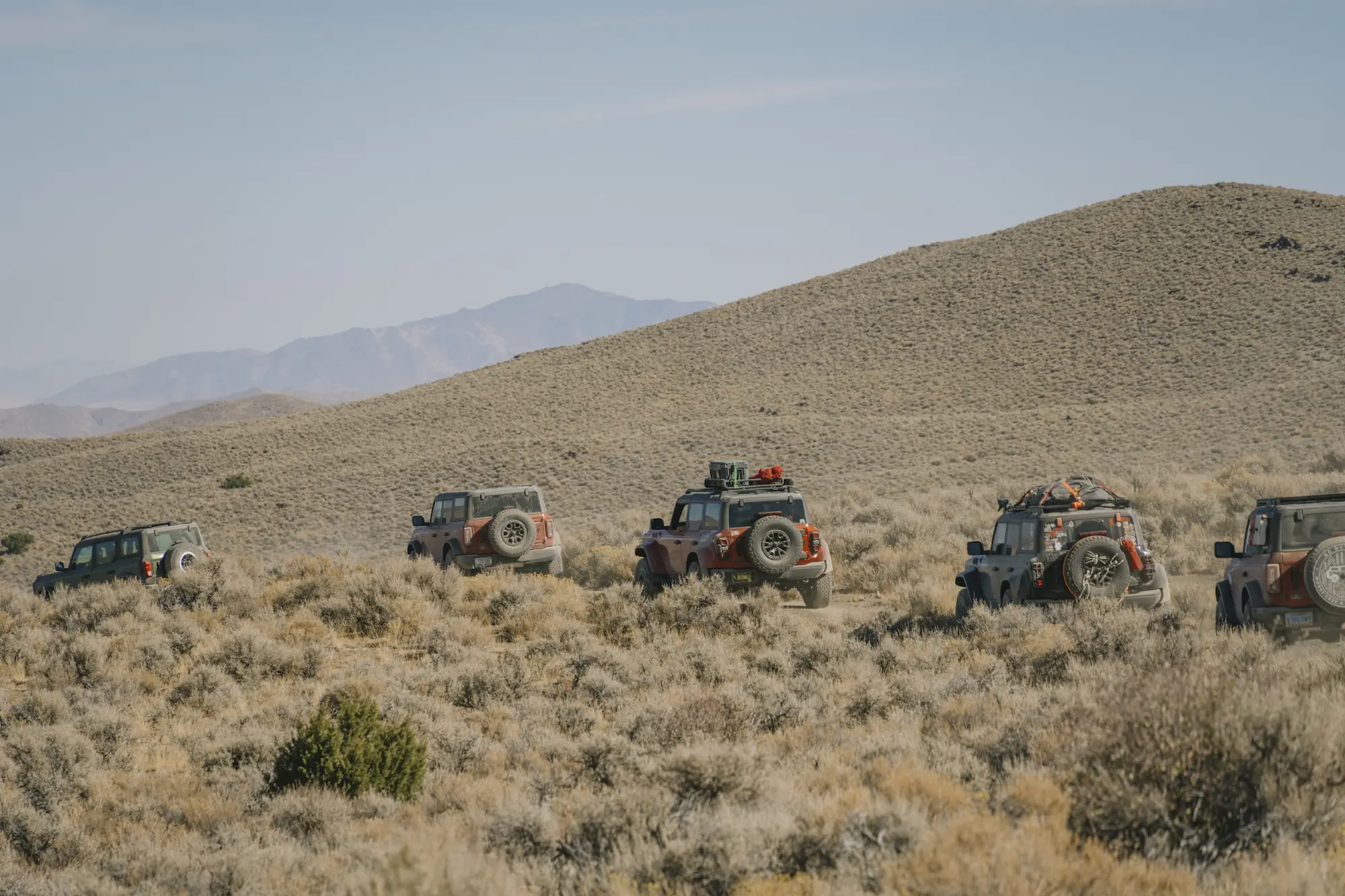 Line of Ford Broncos overlanding