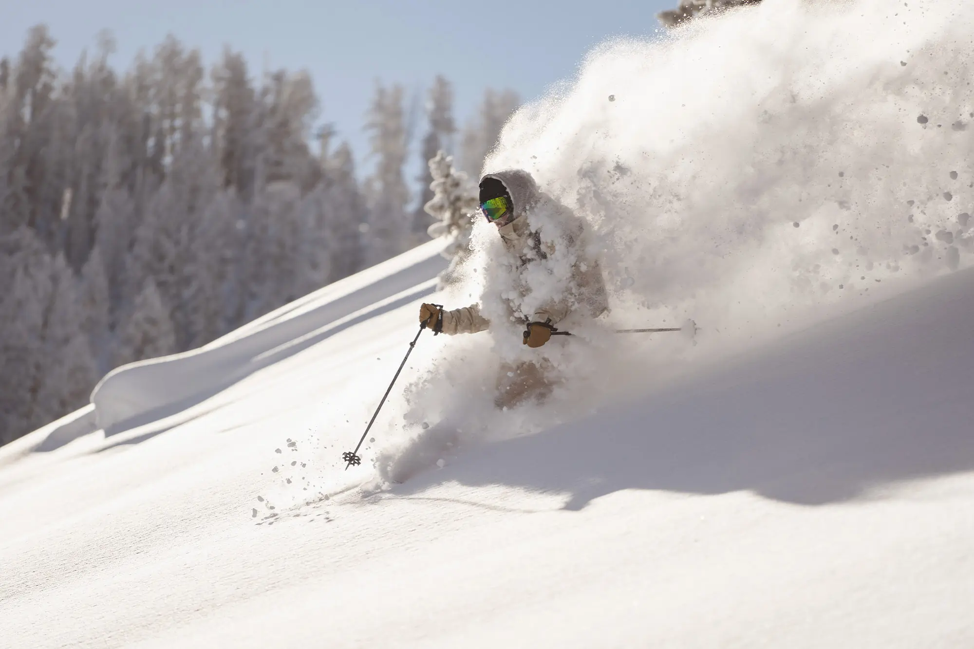 A skier cuts through fresh powder, sending a cloud of snow into the air at Powder Mountain